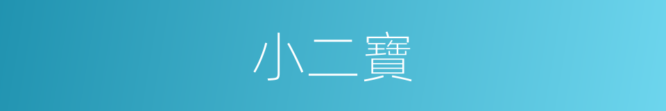 小二寶的同義詞