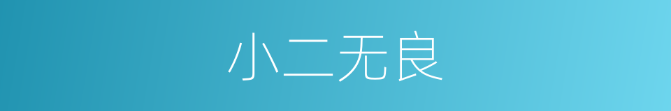小二无良的同义词