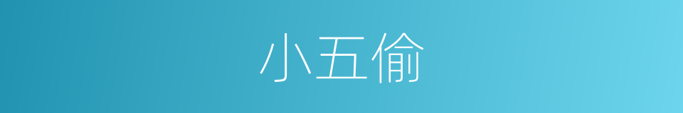 小五偷的同义词