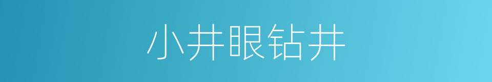 小井眼钻井的同义词