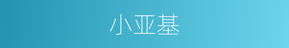 小亚基的同义词