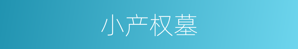 小产权墓的同义词