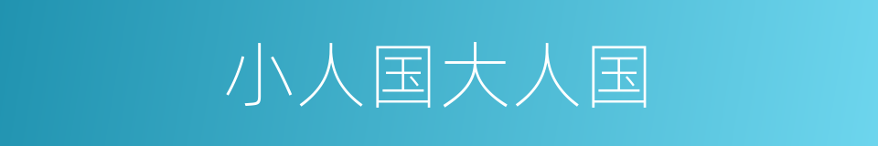 小人国大人国的同义词