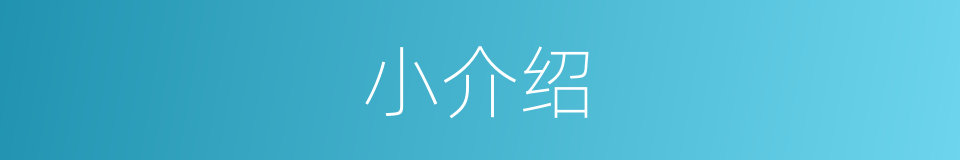 小介绍的同义词