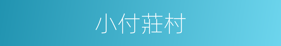 小付莊村的同義詞