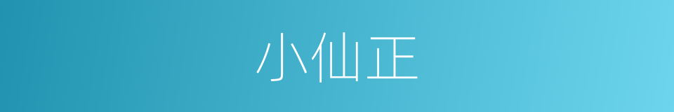 小仙正的同义词