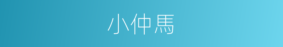 小仲馬的同義詞