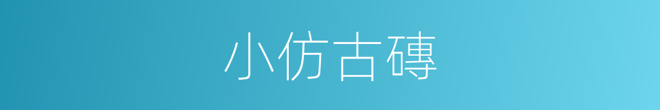 小仿古磚的同義詞
