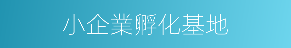 小企業孵化基地的同義詞