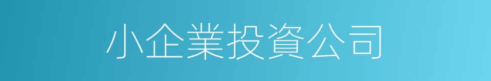 小企業投資公司的同義詞