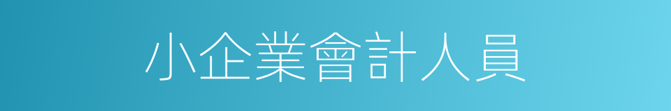 小企業會計人員的同義詞
