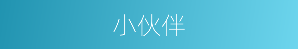 小伙伴的意思