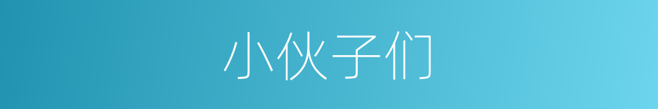 小伙子们的意思