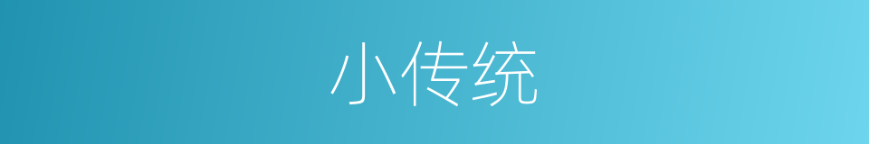 小传统的同义词