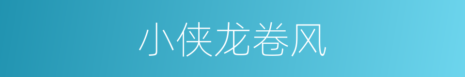 小侠龙卷风的同义词