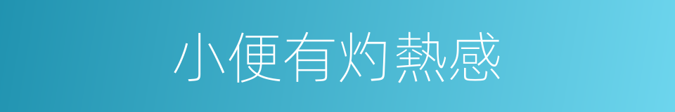 小便有灼熱感的同義詞
