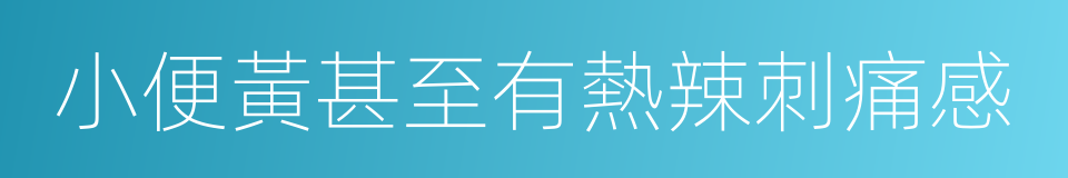 小便黃甚至有熱辣刺痛感的同義詞