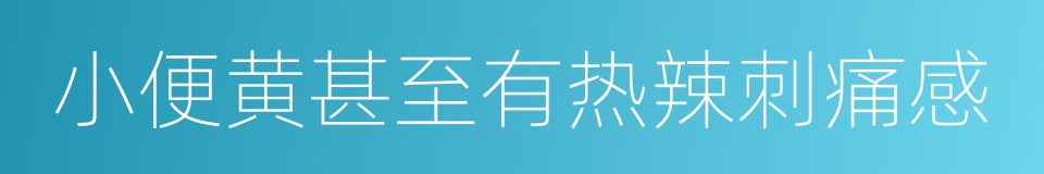 小便黄甚至有热辣刺痛感的同义词