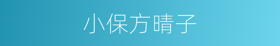 小保方晴子的同义词