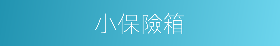 小保險箱的同義詞