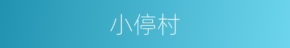 小停村的同义词