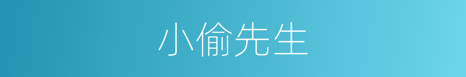 小偷先生的同义词