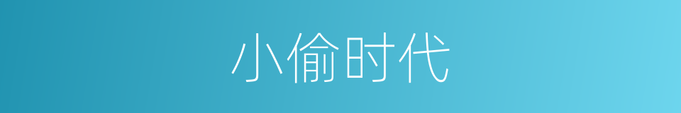 小偷时代的同义词