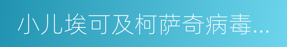 小儿埃可及柯萨奇病毒感染的同义词