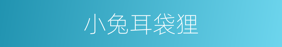 小兔耳袋狸的同义词