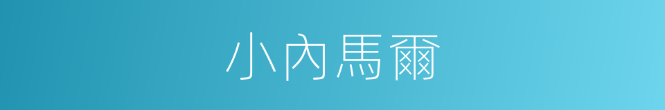 小內馬爾的同義詞