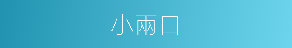 小兩口的意思