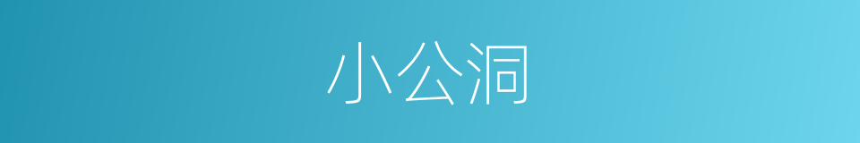 小公洞的同义词