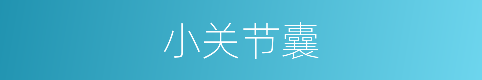 小关节囊的同义词