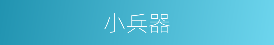 小兵器的同义词