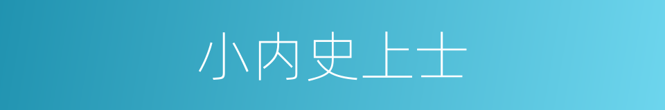 小内史上士的同义词
