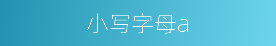 小写字母a的同义词