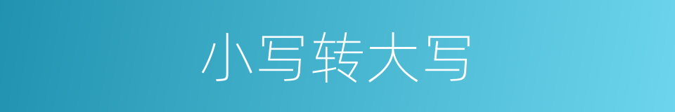 小写转大写的同义词