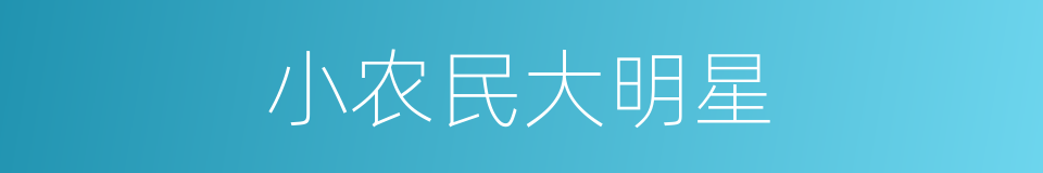 小农民大明星的同义词