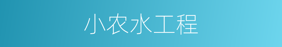 小农水工程的同义词