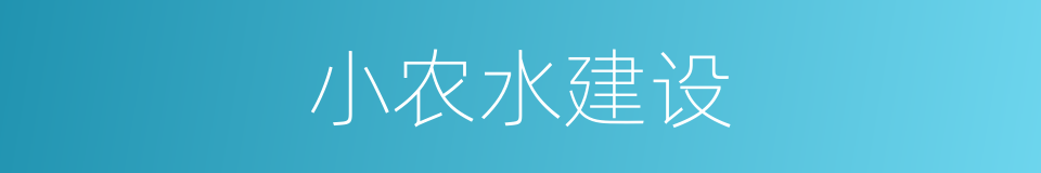 小农水建设的同义词