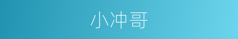 小冲哥的同义词