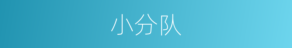 小分队的意思