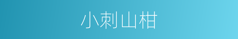 小刺山柑的同义词