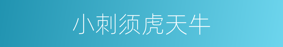 小刺须虎天牛的同义词