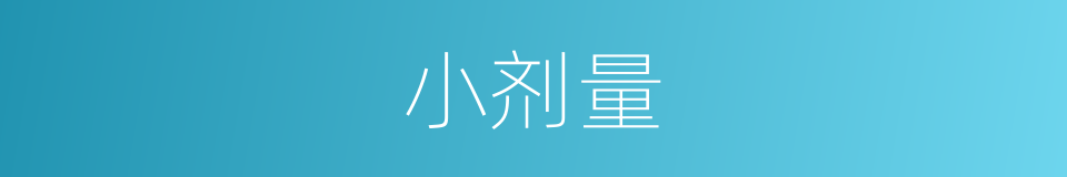 小剂量的同义词