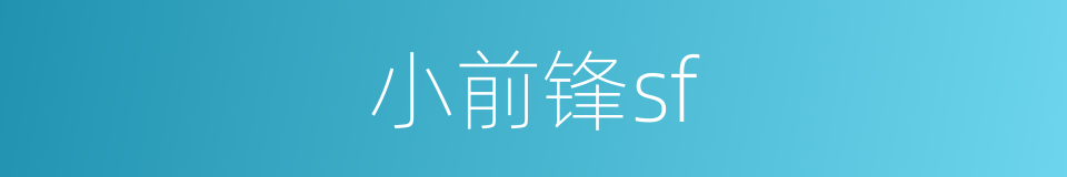 小前锋sf的同义词