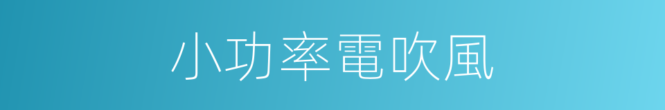 小功率電吹風的同義詞