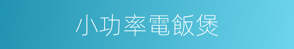小功率電飯煲的同義詞