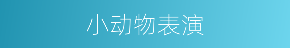 小动物表演的同义词