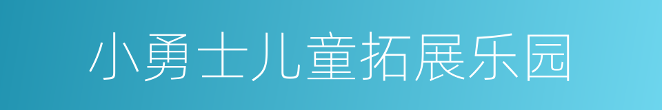 小勇士儿童拓展乐园的同义词